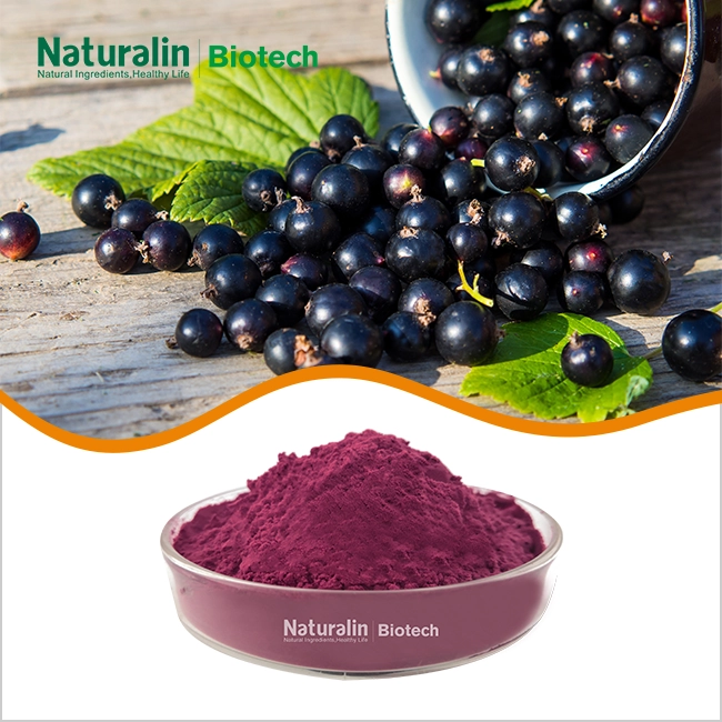 Acai Berry Extract Powder Acai Berry Extract Powder